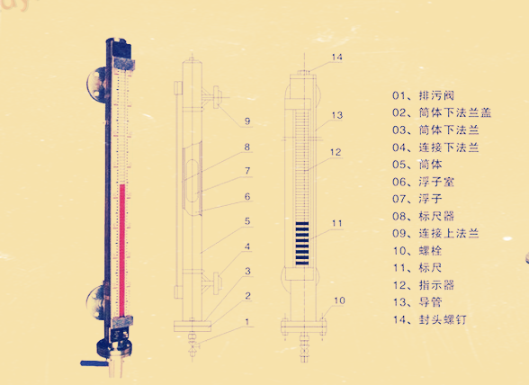 頂裝磁翻柱液位計結構